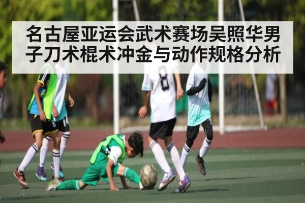 名古屋亚运会武术赛场吴照华男子刀术棍术冲金与动作规格分析（kaiyun）