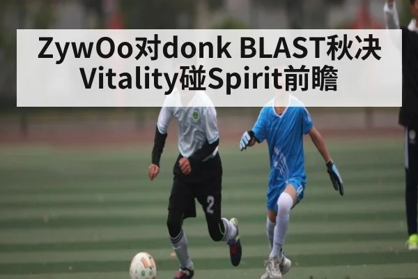 ZywOo对donk BLAST秋决Vitality碰Spirit前瞻 | kaiyun
